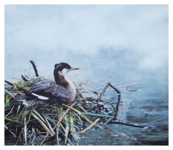 Mom's Feather Bed Art Print by Denise Soule. Winner, 2007 BCWF Artist of the Year | BCWF