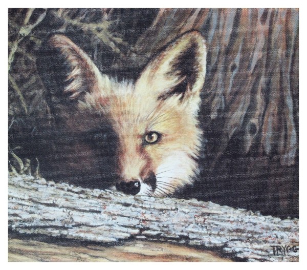 Eyes of the Forest Art Print by Joyce Trygg. Winner, 2010 BCWF Artist of the Year | BCWF
