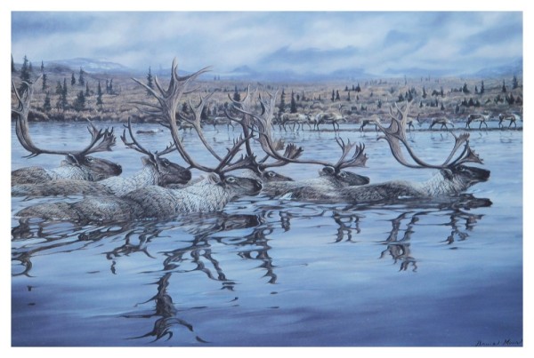 Cariboo Migration Art Print by Bruce Muir. Winner, 2000 BCWF Artist of the Year. | BCWF