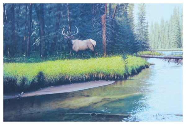 Bull River Bugle Art Print by Eric Renk. Winner, 2002 BCWF Artist of the Year. | BCWF