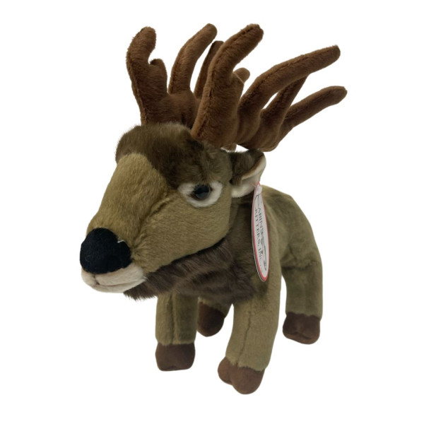 Stuffed Elk | BCWF