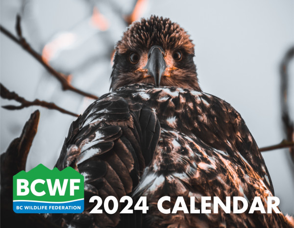 2024 BCWF Calendar | BCWF
